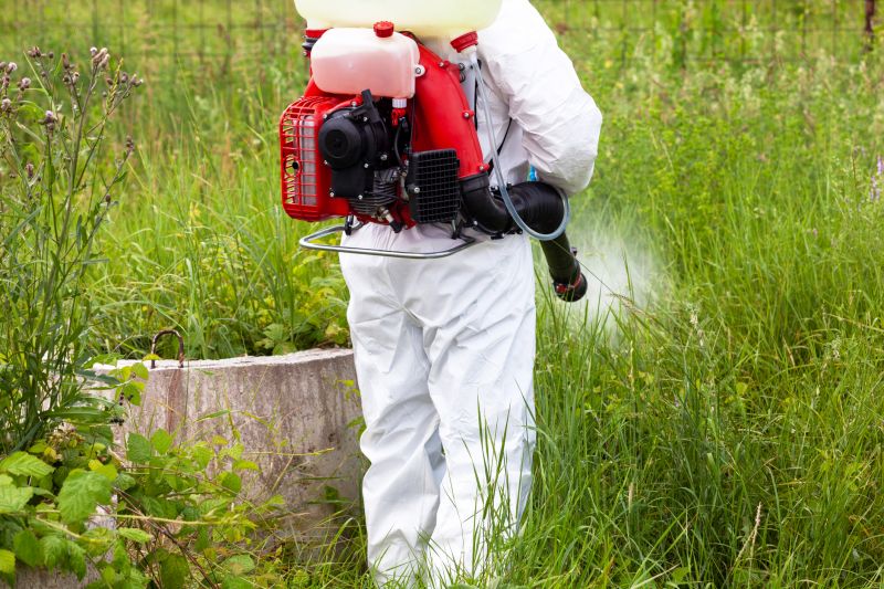 Arborist Spraying