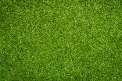 Artificial Grass Installation