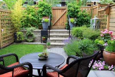 Backyard Landscaping Service