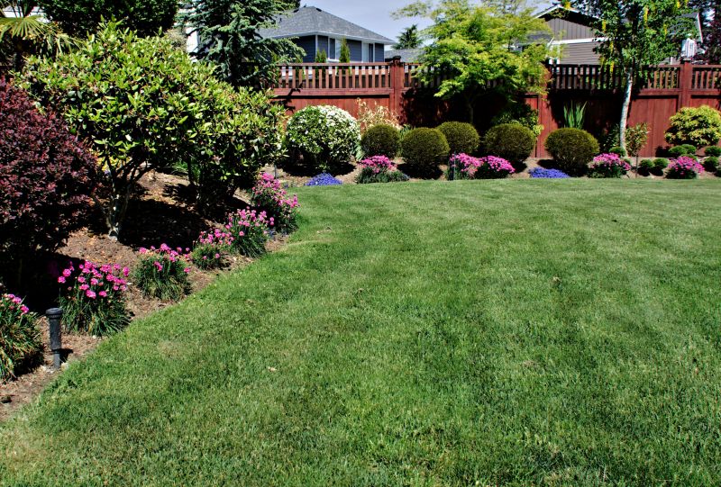 Backyard Landscaping Service