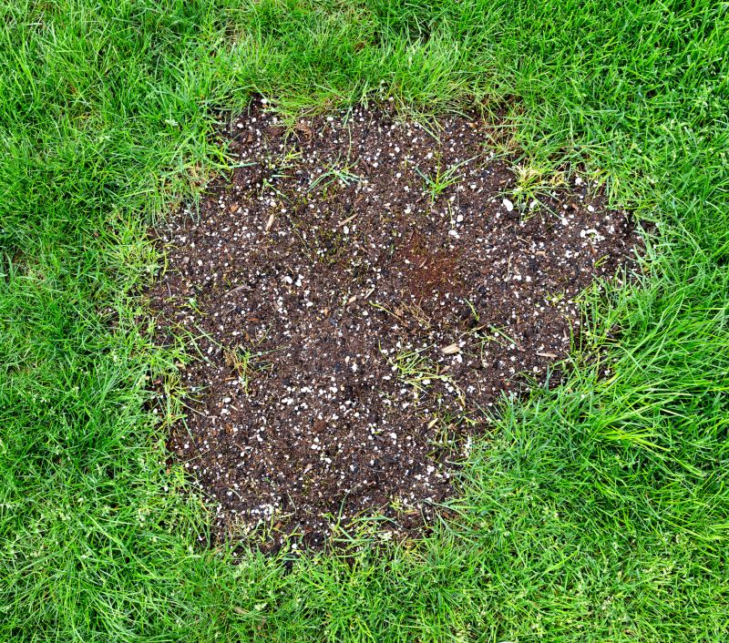 Bare Spot Repair