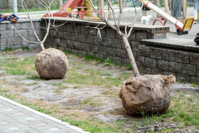 Bark Spreading