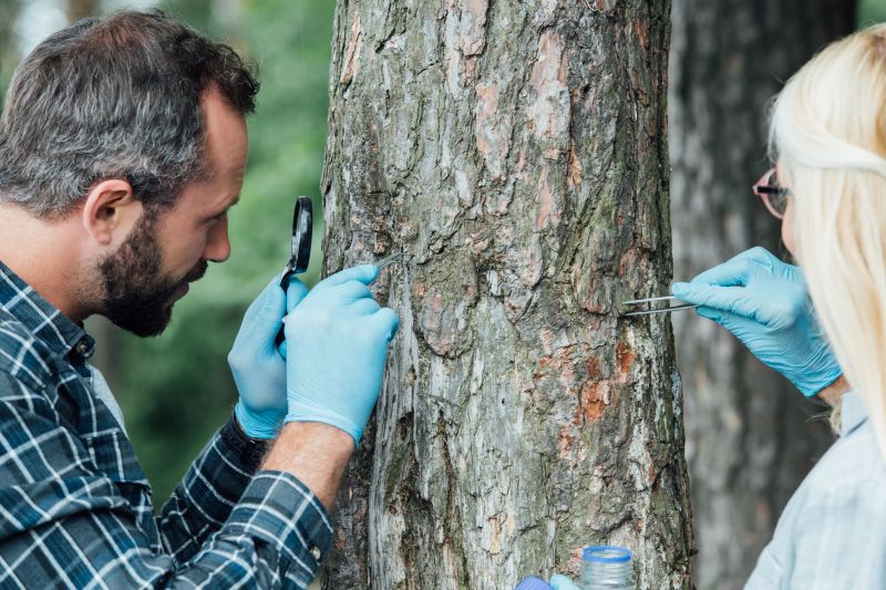 Bark Spreading