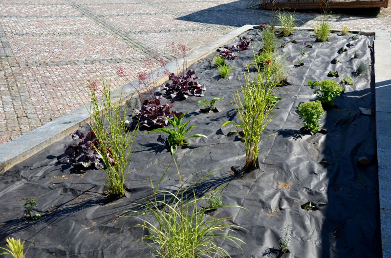 Black Mulch Installation