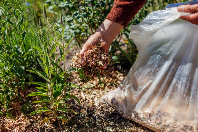 Brown Mulch Installation