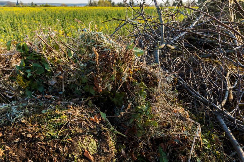 Bush Replacement