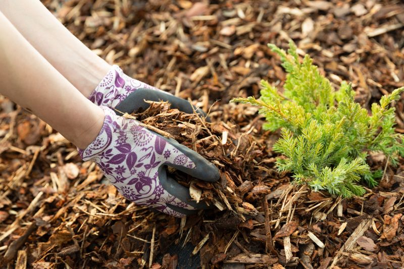 Cedar Mulch Spreading