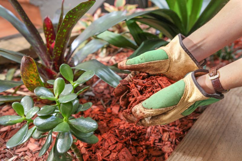 Cedar Mulch Spreading