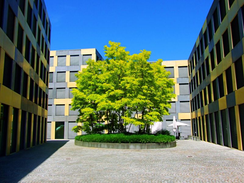 Courtyard Design Service