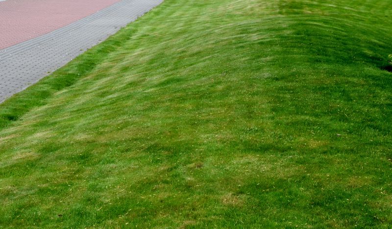 Damaged Yard Repair