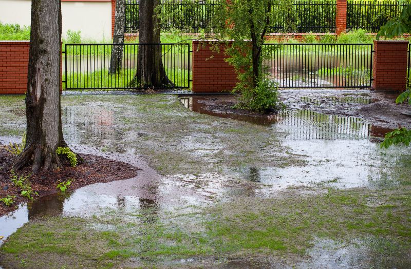 Damaged Yard Repair