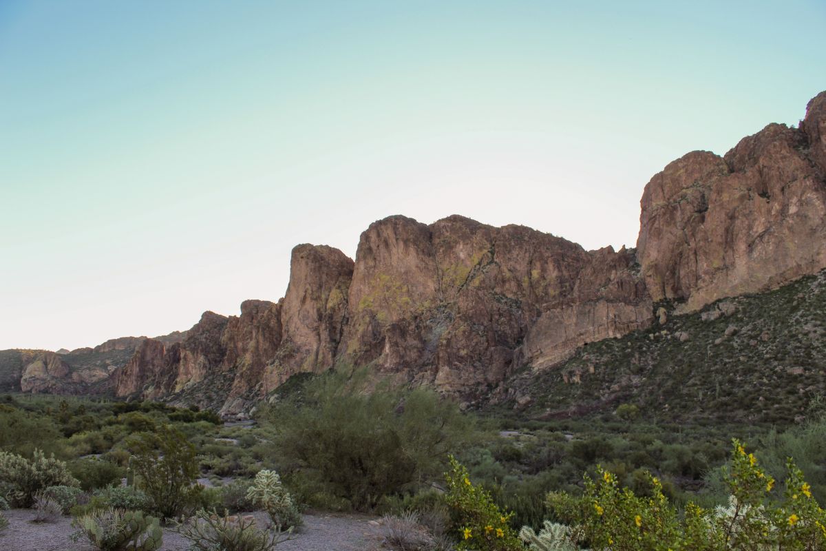 Desert Landscaping