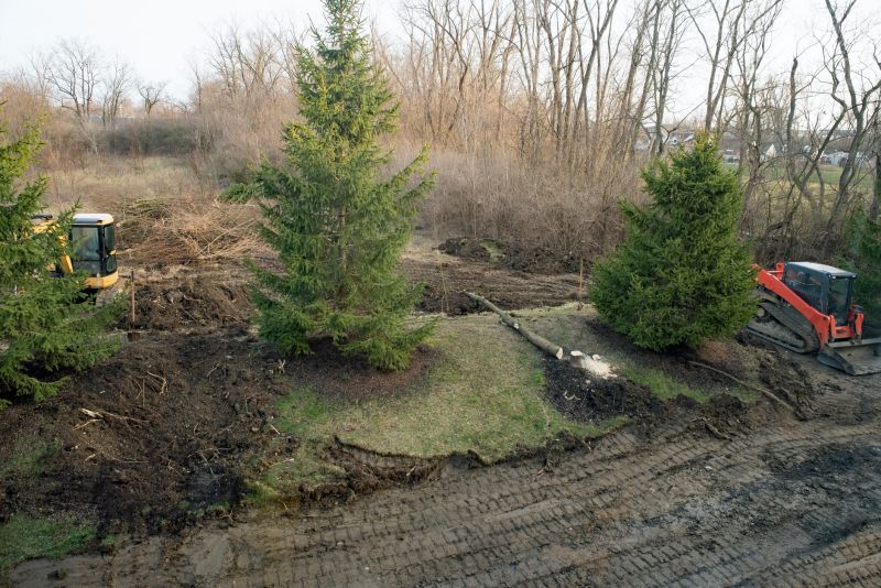 Ditch Clearing