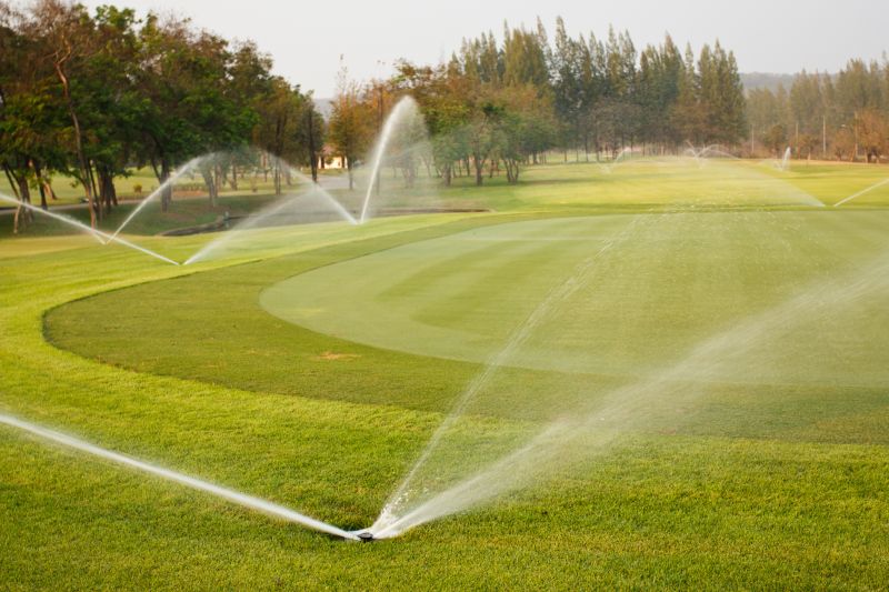 Drought Resistant Landscaping