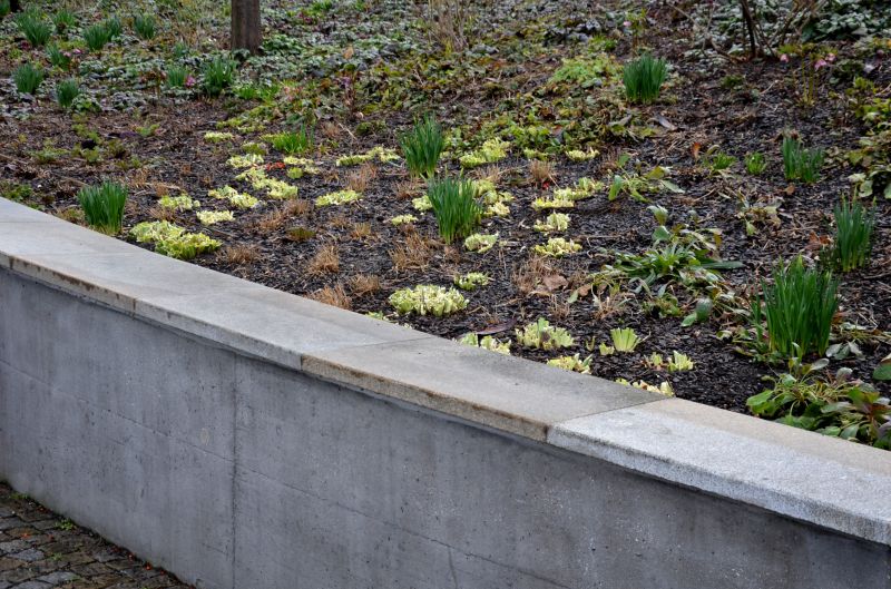 Erosion Control Service