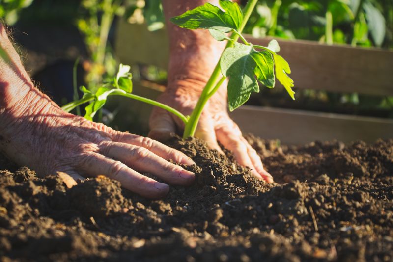 Flower Bed Maintenance