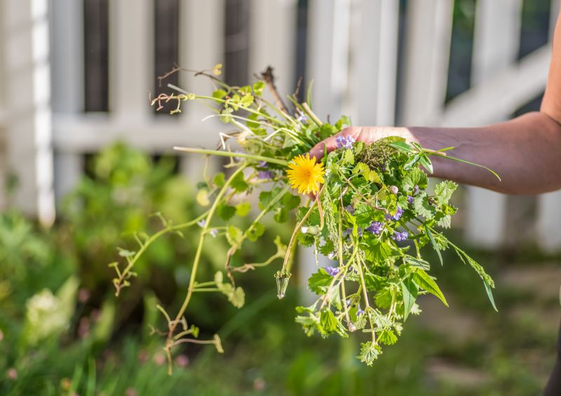 Flower Garden Weeding