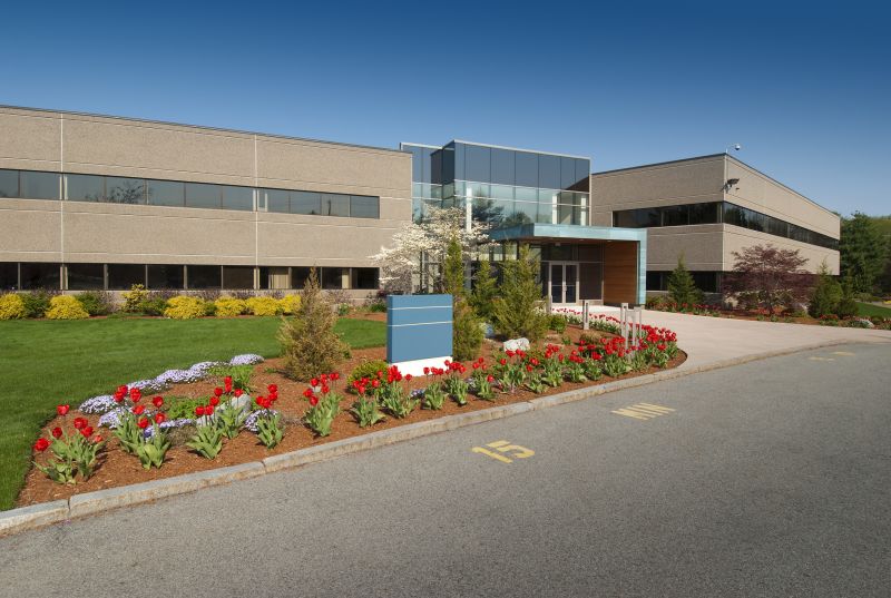 Commercial Landscaping detail