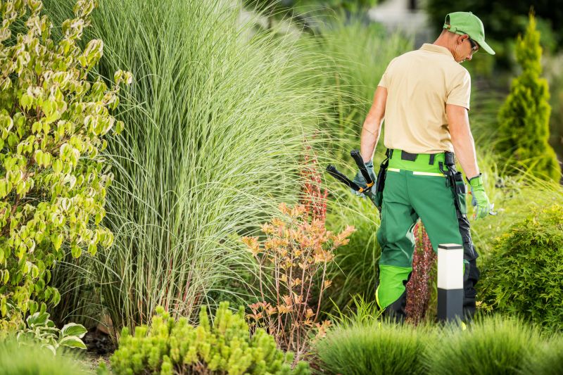 Commercial Landscaping detail