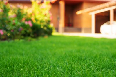 Damaged Yard Repair detail