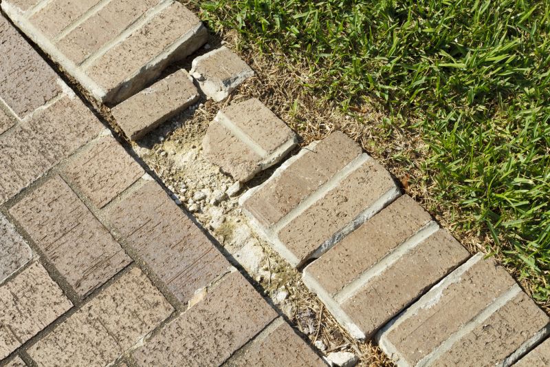 Damaged Yard Repair detail