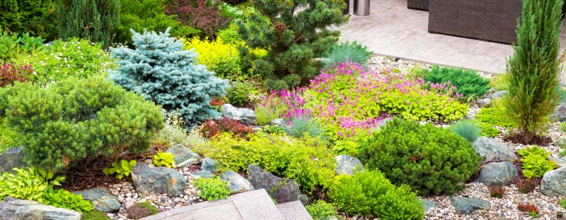 Landscape Mulching detail