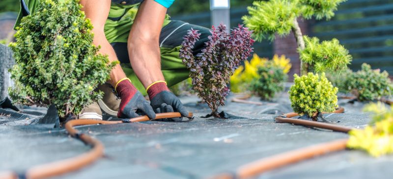 Landscaping Installation detail