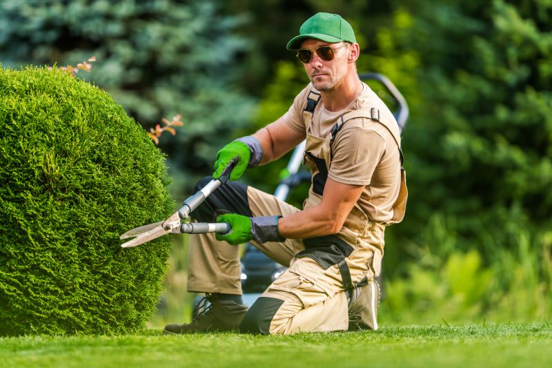 Landscaping Replacement detail