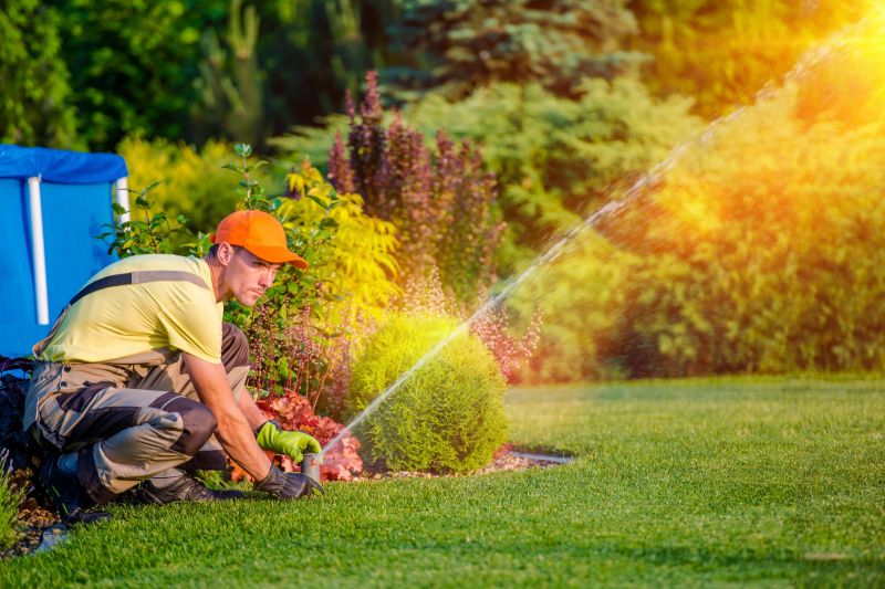 Lawn Erosion Repair detail