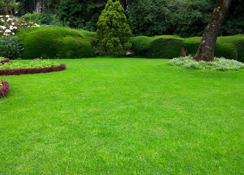 Lawn Landscaping detail