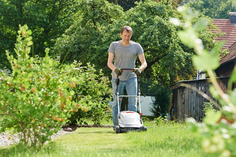 Lawn Landscaping detail