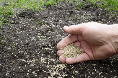 Mulch Spreading detail