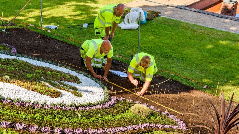 Yard Landscaping Service detail
