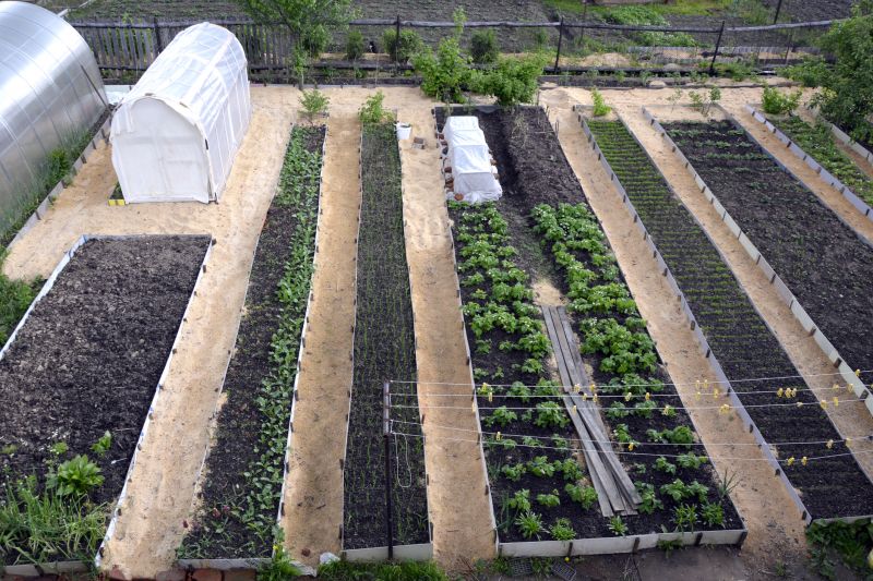 Garden Bed Construction