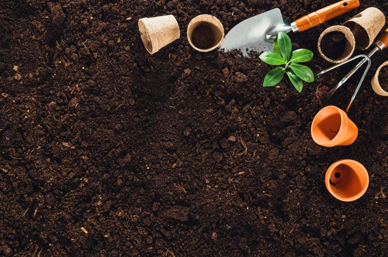 Garden Care Service