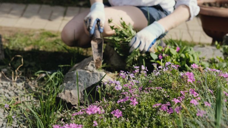 Garden Digging