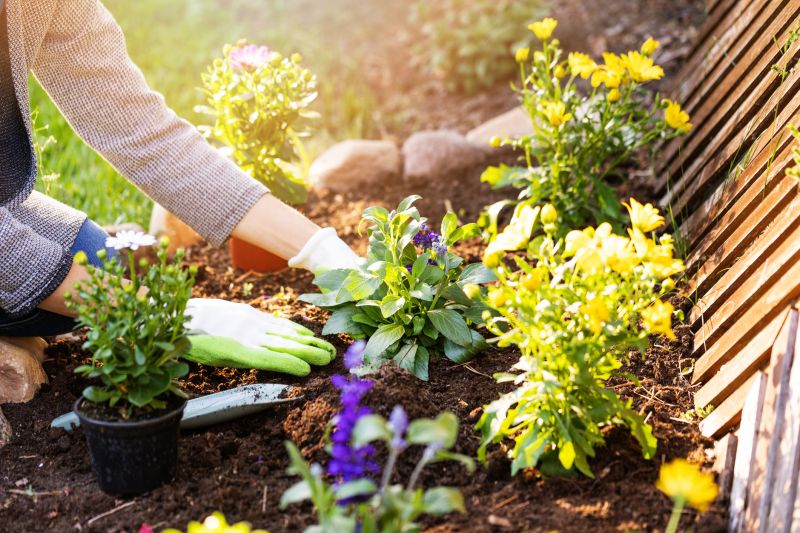 Garden Digging