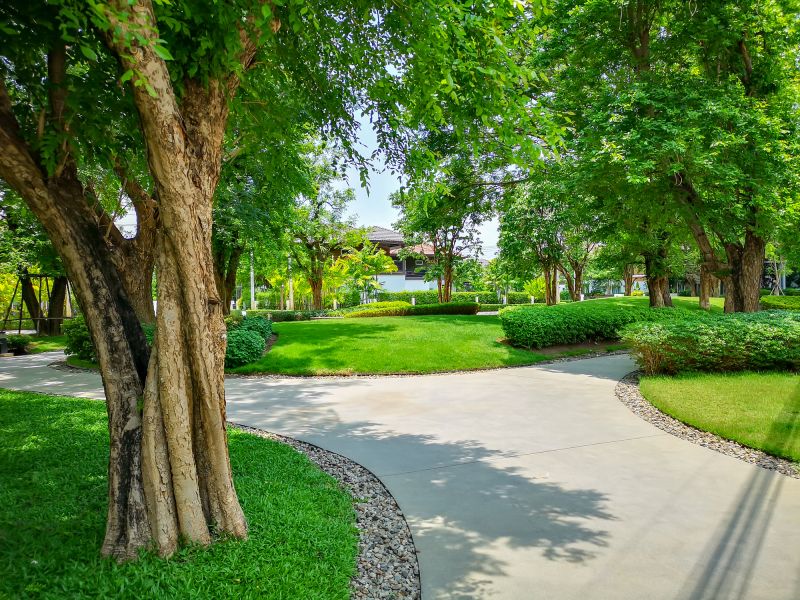 Garden Edging Service