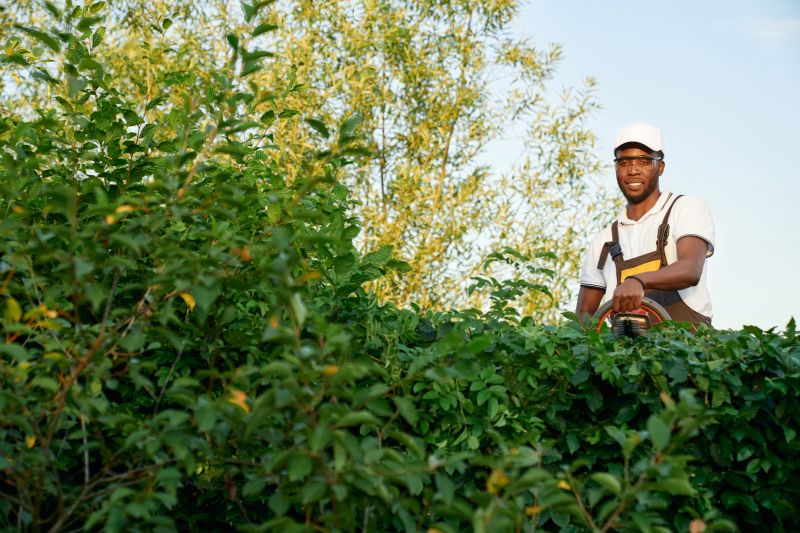 Garden Trimming Service