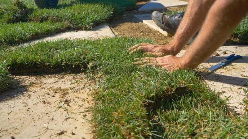 Grass Repair