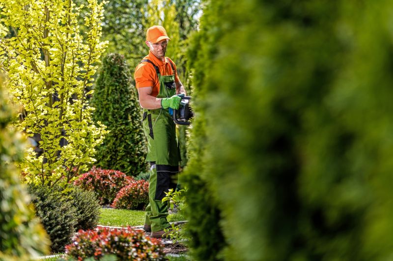 Hedge Landscaping