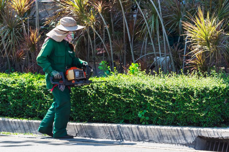 Hedge Replacement