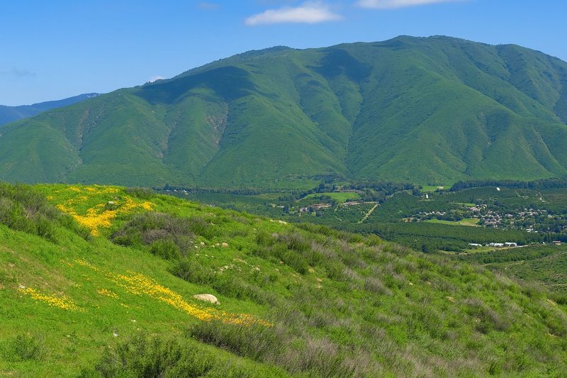 Hill Landscaping