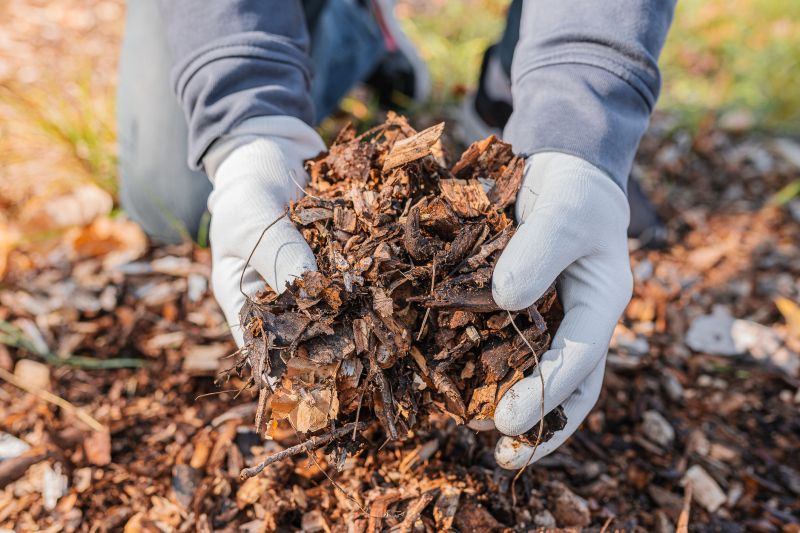 Hotel Mulching