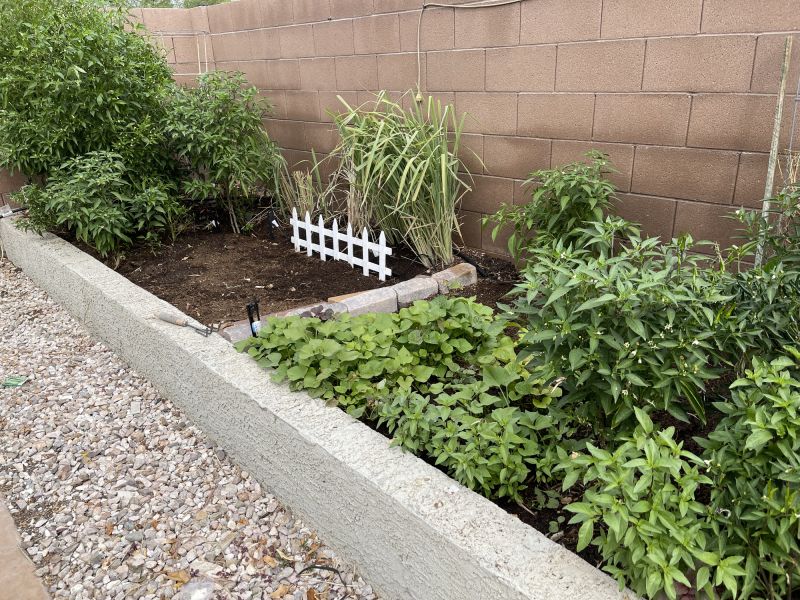 Landscape Edging Service