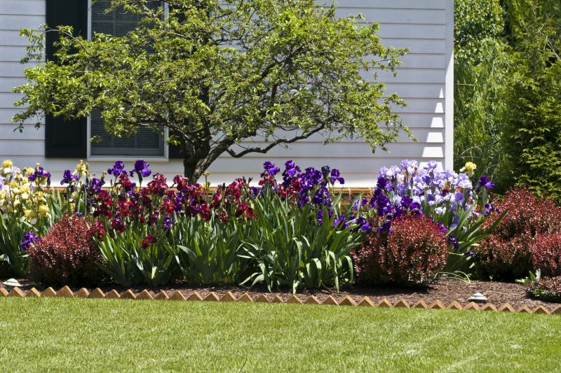 Landscaping Replacement