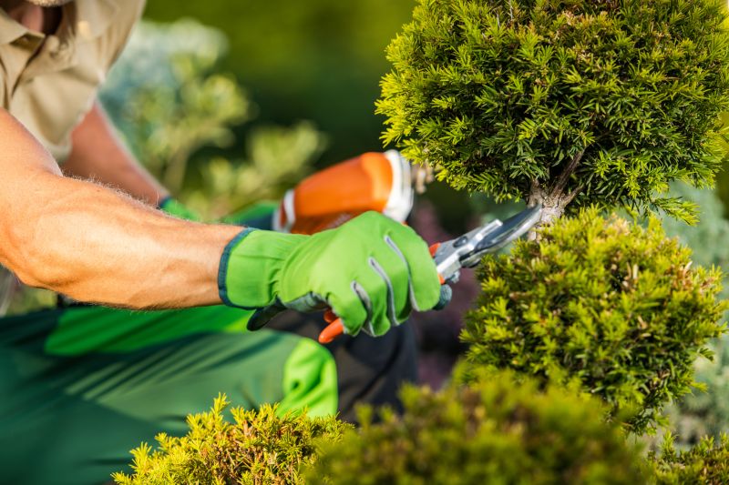 Landscaping Service
