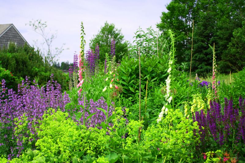 Native Plant Landscaping