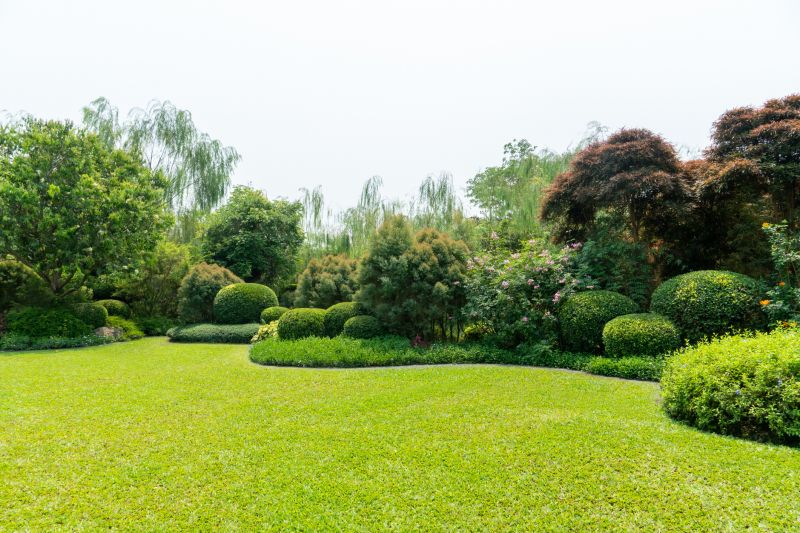 Completed Landscape with Lawn and Trees