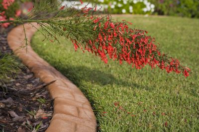 Lawn Border Installation